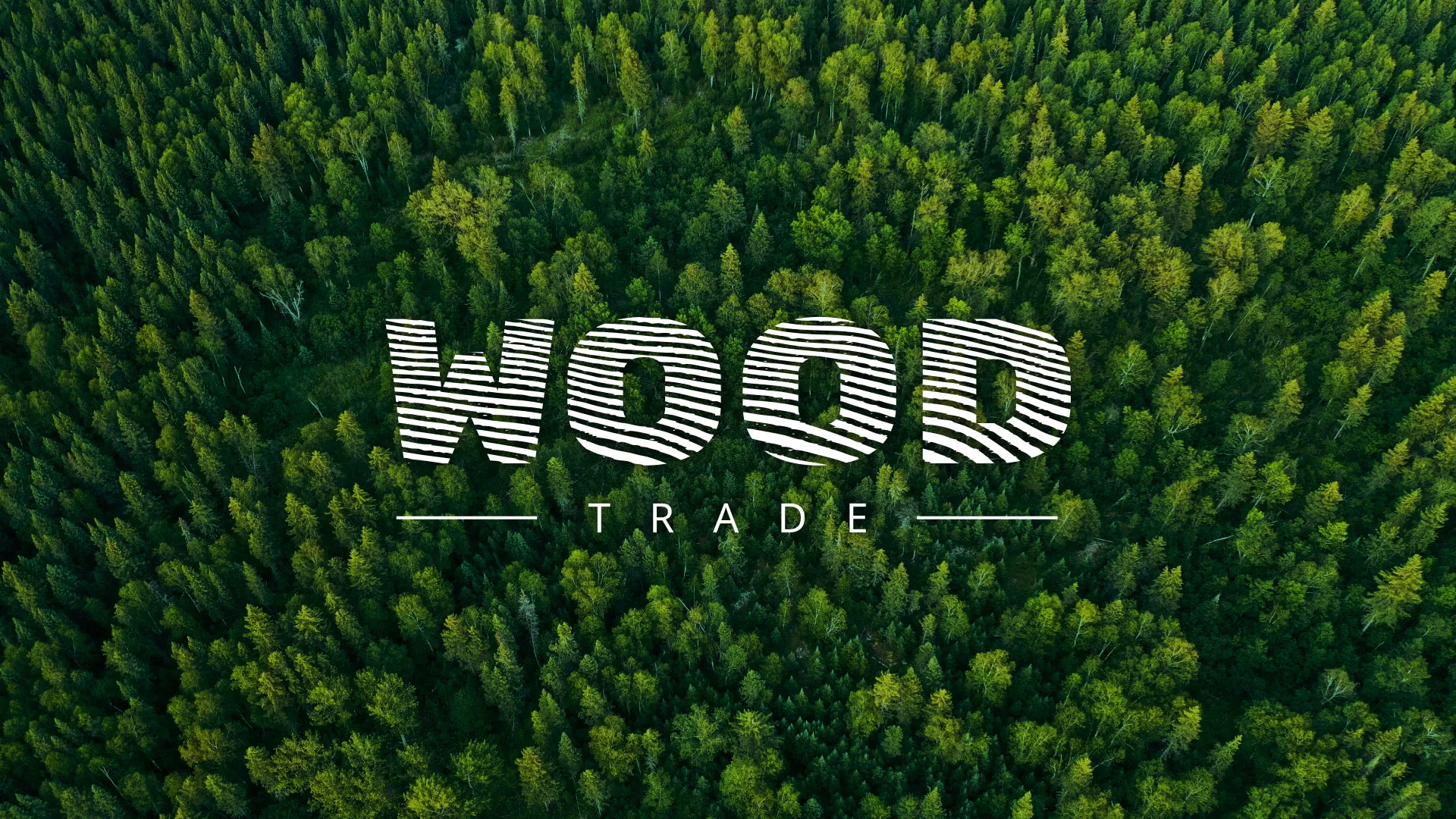 Разработка интернет-магазина компании «Wood Trade» в Железнодорожном