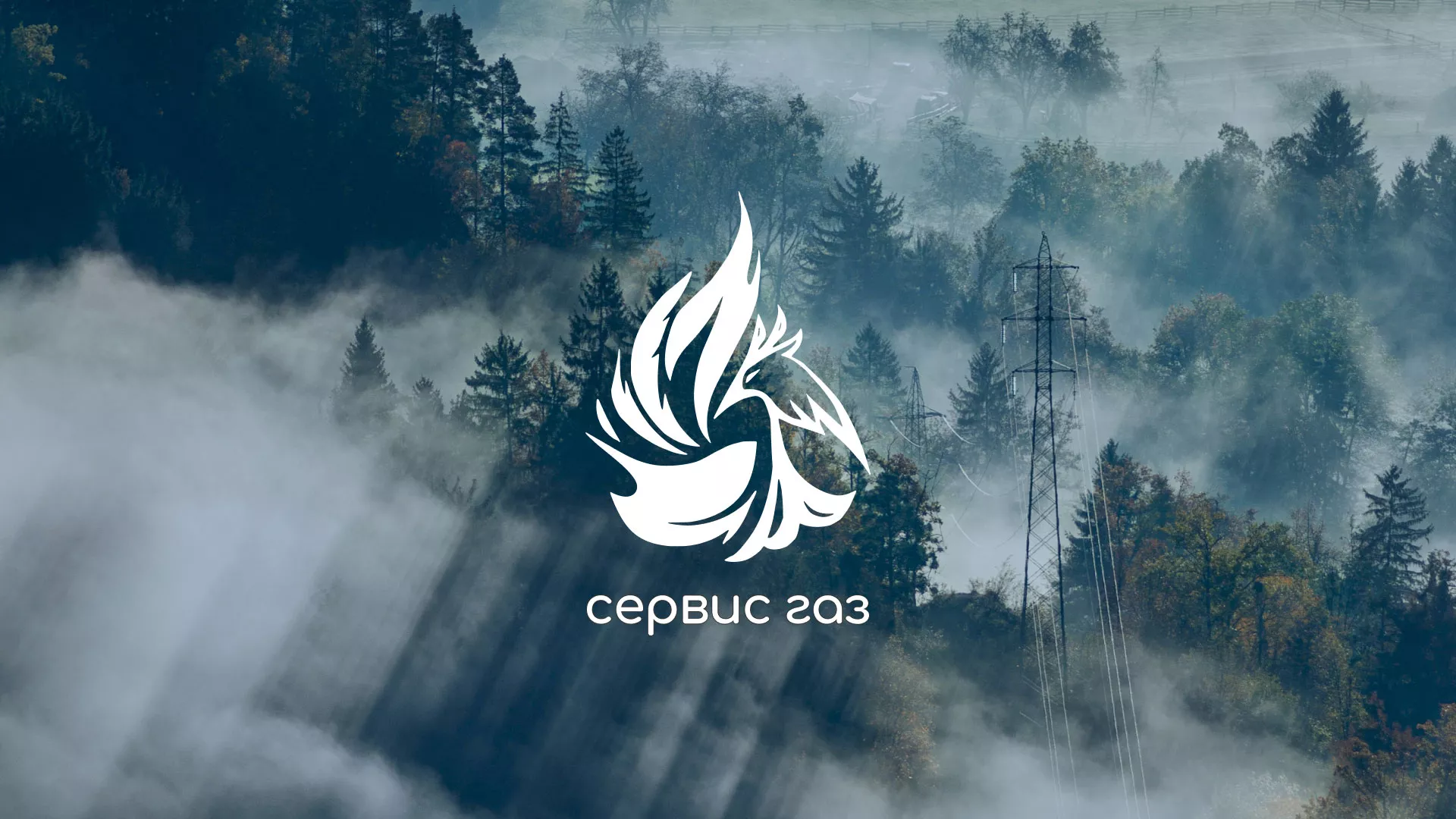 Создание сайта в Железнодорожном для компании «Сервис газ», разработка логотипа компании, айдентика Создание сайта компании «Сервис газ» в Железнодорожном