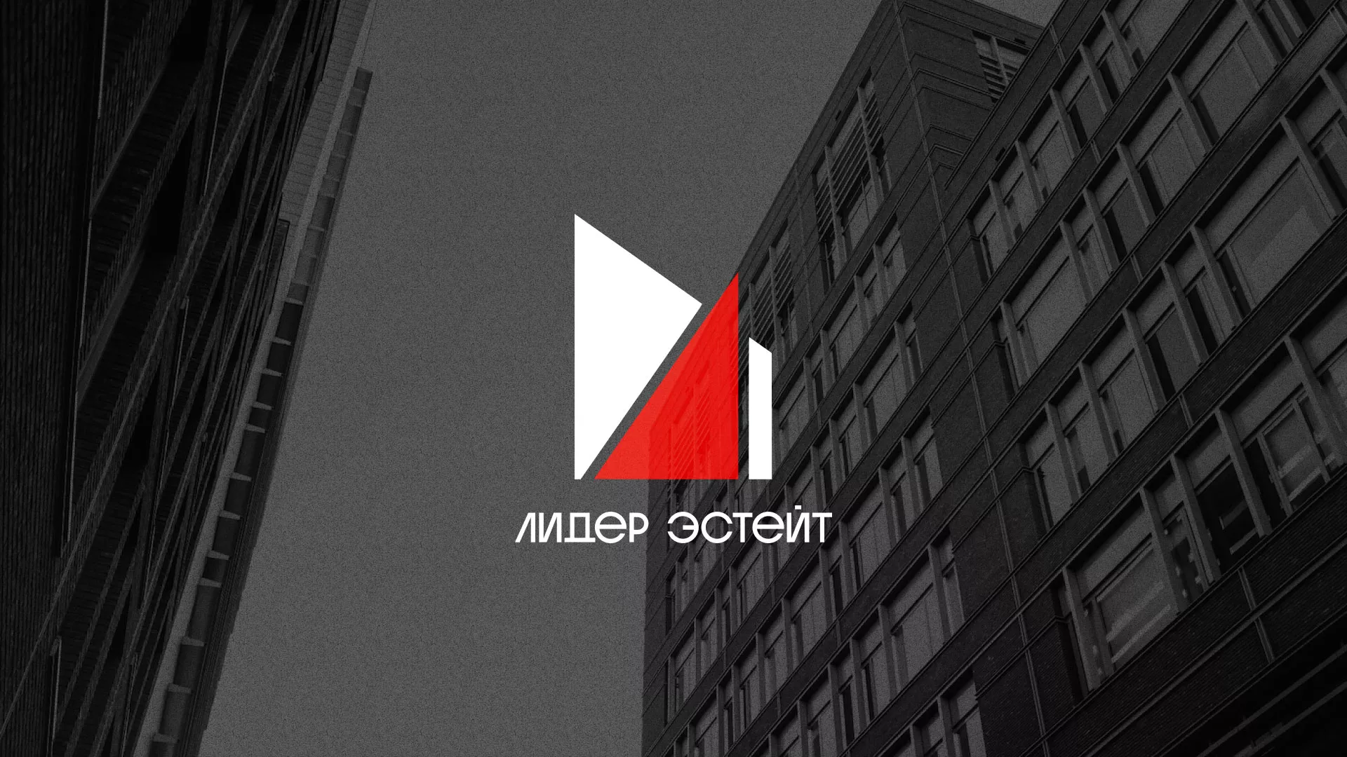 Сделали логотип для агентства недвижимости «Лидер Эстейт» в Железнодорожном